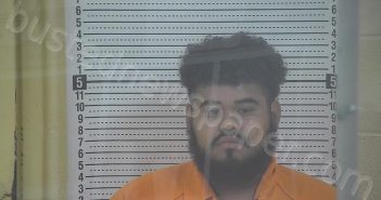 LAINEZ, HIMILTON ARITA | 2025-09-09 03:32:00 Taylor County, Kentucky Booking