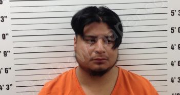 RUIZ, RAFAEL DIAZ | 2025-09-09 21:37:00 Pickens County, Georgia Booking