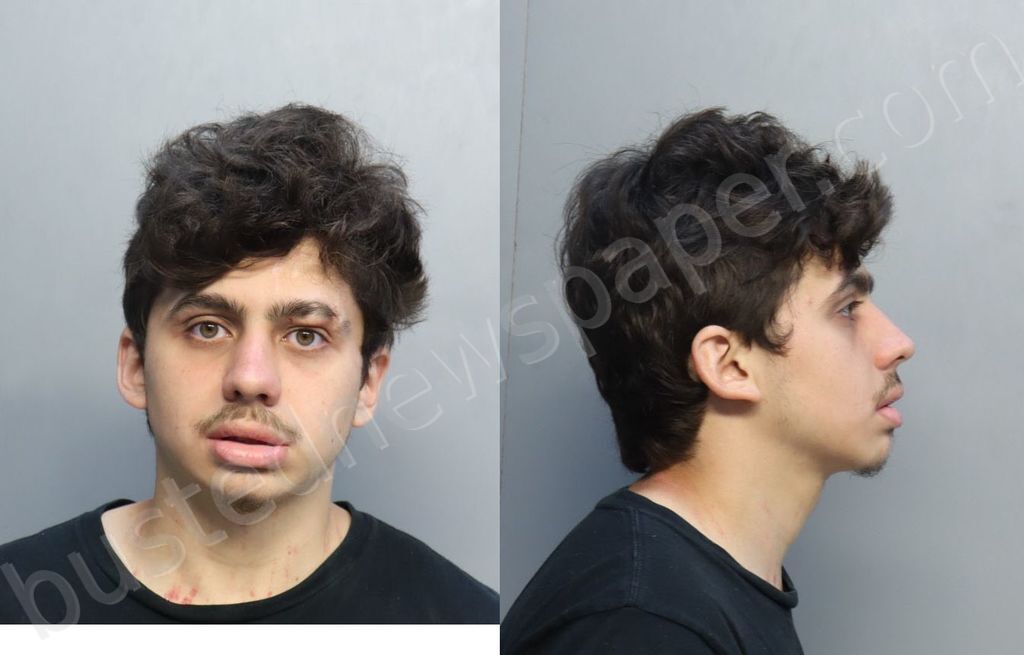 RAMIREZ, ALEJANDRO J #, Miami-Dade County, Florida - 2025-09-09 00:23:00