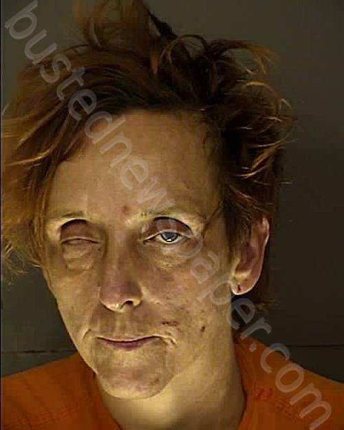 EVANS, TIFFANY DAWN #, Horry County, South Carolina - 2025-09-11 13:50:00