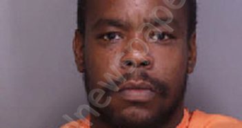 JOHNSON, RICHARD GEORGE | 2025-09-13 13:48:00 Florence County, South Carolina Booking