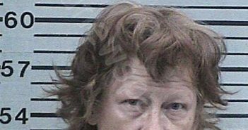 SADDLEMIRE, SHARON KAY | 2025-09-14 04:32:05 Hood County, Texas Booking