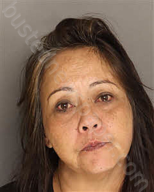 JONES, JOYCE MARIA #, Berkeley County, South Carolina - 2025-09-14 00:40:00