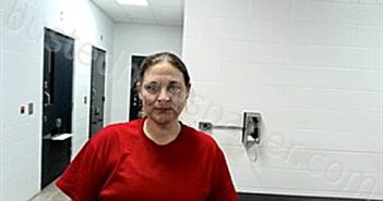 WOMACK, ALICIA DANIELLE | 2025-09-19 11:14:00 Fulton County, Arkansas Booking