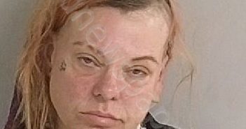 PEREZ, <B>NICOLE</B> <B>RENEE</B> #, <b>Jackson</b> County, Michigan, Jackson County, Michigan - 2025-09-23 22:38:40