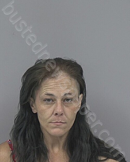 GARCIA, ALISA #, Johnston County, North Carolina - 2025-09-24