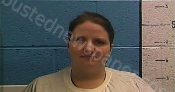 LYNCH, TIFFANY | 2025-09-25 11:30:00 Rockcastle County, Kentucky Booking