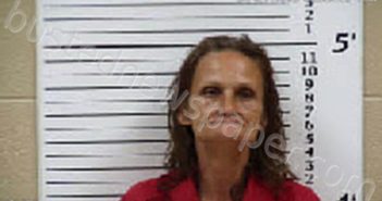 CARROLL, LISA MICHELLE | 2025-09-25 05:05:00 Cherokee County, North Carolina Booking