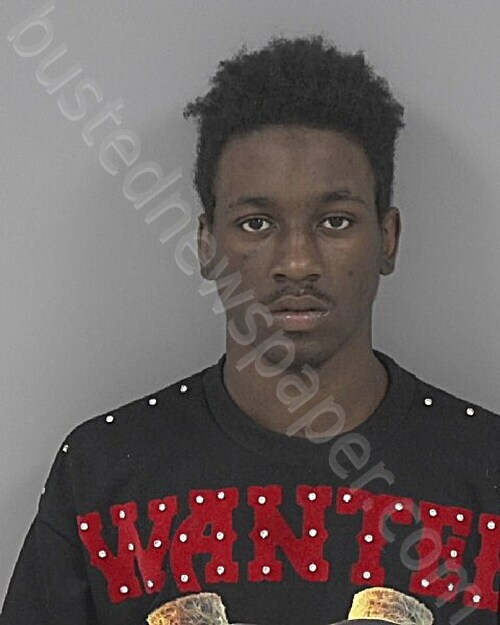 MCCOLLUM, TOBIS #, Johnston County, North Carolina - 2025-09-25