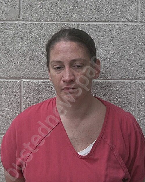 MABE, FAITH ARMANDA #, Alexander County, North Carolina - 2025-09-26 13:10:00