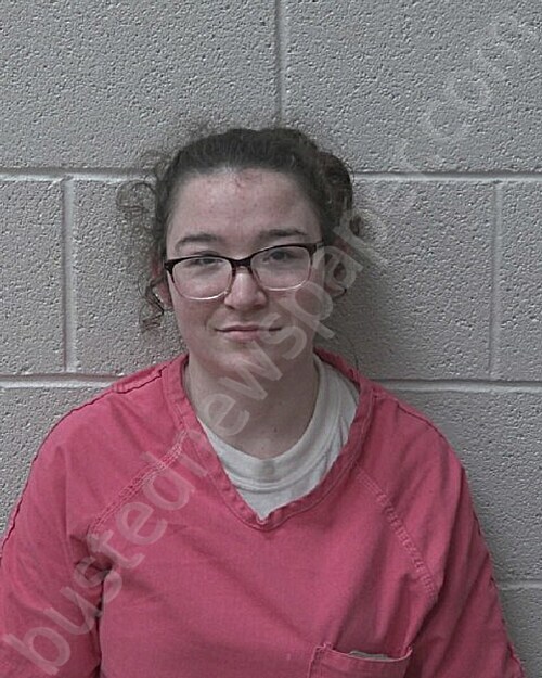 GIBSON, ALICE #, Alexander County, North Carolina - 2025-09-26 13:02:00