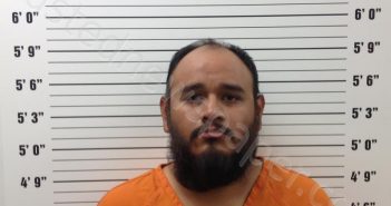LEAL SOLAIS, CARLOS | 2025-09-27 09:02:00 Pickens County, Georgia Booking