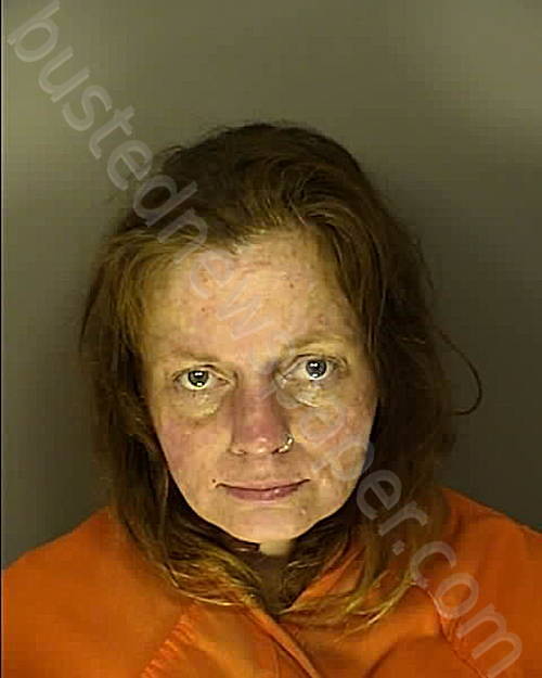 KING, LAURA ASHLEY #, Horry County, South Carolina - 2025-09-28 20:30:00