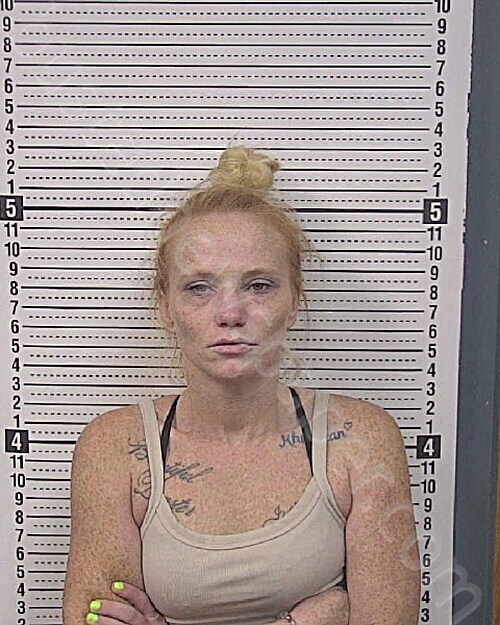 HALL, LISA NICOLE #, Caldwell County, North Carolina - 2025-09-28 21:43:00