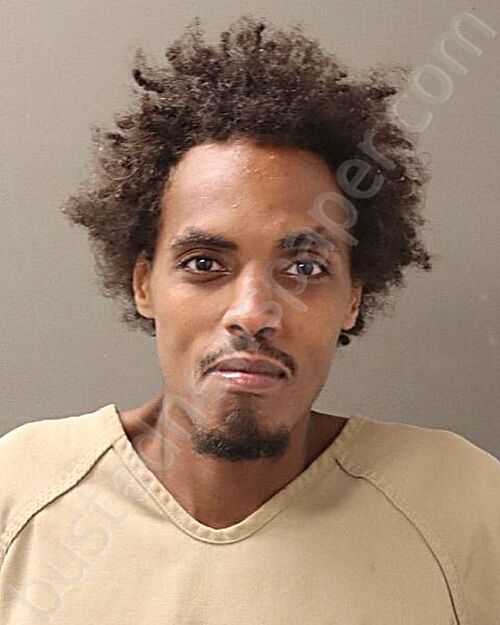 MOHAMOOD, ANAS ABDI #, Franklin County, Ohio - 2025-09-29 23:12:00