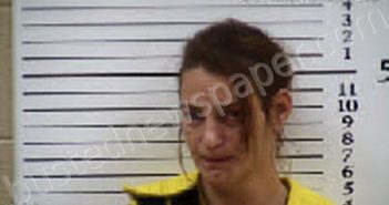 MYERS, MARY ELIZABETH | 2025-10-01 20:26:00 Cherokee County, North Carolina Booking