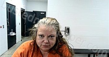 STOKES, JENNIFER LEE | 2025-10-01 05:18:00 Fulton County, Arkansas Booking