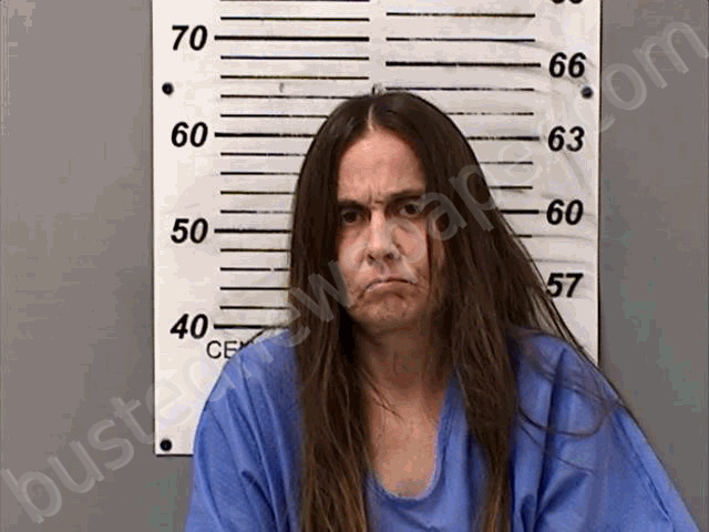MITCHELL, JENNIFER ANN #, Williams County, Ohio - 2025-10-02