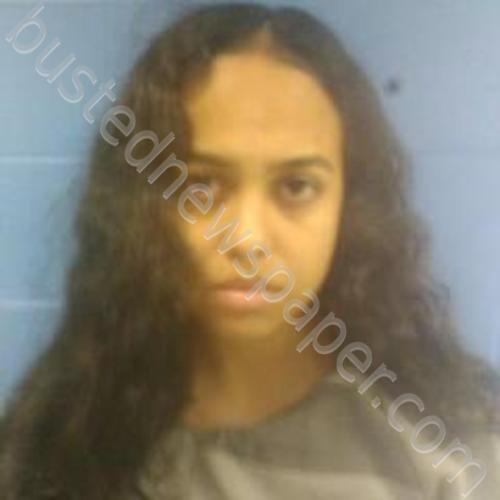 ITAJY LIZBETH DE LA ROSA HERNANDEZ #, Faulkner County, Arkansas - 2025-10-02 18:51:00
