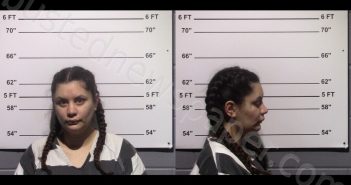 PATINO, GLORY ANALY | 2025-10-03 Gillespie County, Texas Booking