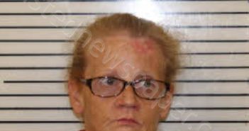 RAMSEY, CHERYL LYNN | 2025-10-04 10:15:00 Madison County, North Carolina Booking