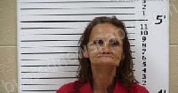 CARROLL, LISA MICHELLE | 2025-10-07 23:37:00 Cherokee County, North Carolina Booking