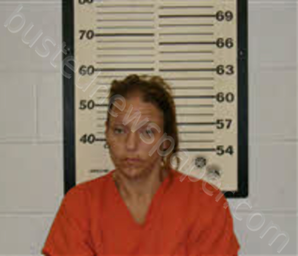 TOMAN, AMY LYNN #, Caswell County, North Carolina - 2025-10-10 13:46:00