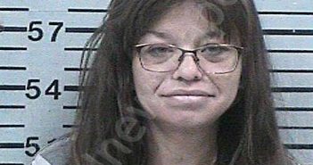 HOLGUIN, MARISELA DEPAOLO | 2025-10-10 23:17:10 Hood County, Texas Booking