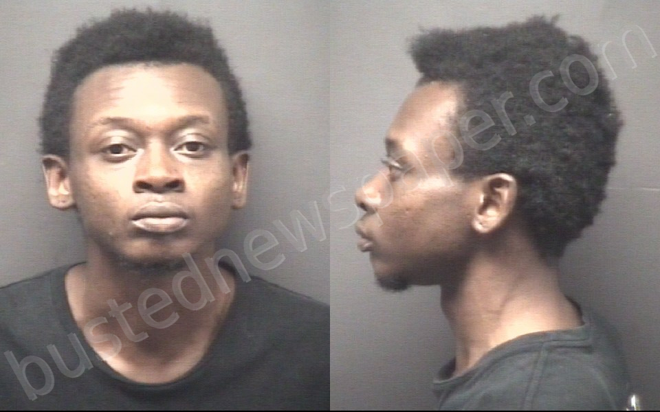 VINES, JALEN SAVON #, Pitt County, North Carolina - 2025-10-11