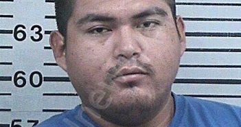 SEGURA, DARIO EDUARDO | 2025-10-11 05:10:25 Hood County, Texas Booking