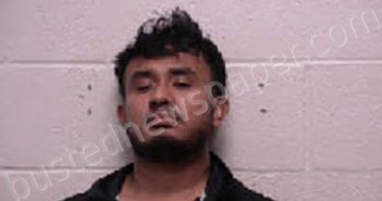 <B>RAMIREZ</B>-AGUDO, <B>MIGUEL</B> ANGEL #, Robertson County, Tennessee - 2025-10-11 18:50:00