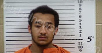 PATTERSON, DAKOTA DONALD | 2025-10-12 15:04:00 Cherokee County, North Carolina Booking