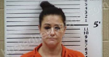 SILVER, TARA CAMILLA | 2025-10-13 14:08:00 Cherokee County, North Carolina Booking