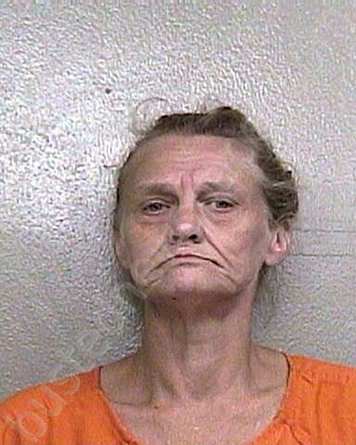 MOSLEY, CACELIA DALE #, Taylor County, Florida - 2025-10-13 16:13:00