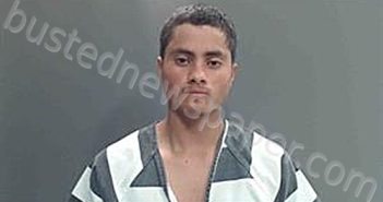 REYNOSA ANAVISCA, KENDY ARNOLDO | 2025-10-14 20:36:00 Cameron Parish, Louisiana Booking