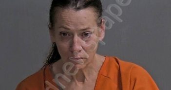 GONZALEZ, LISA H | 2025-10-15 Sandusky County, Ohio Booking