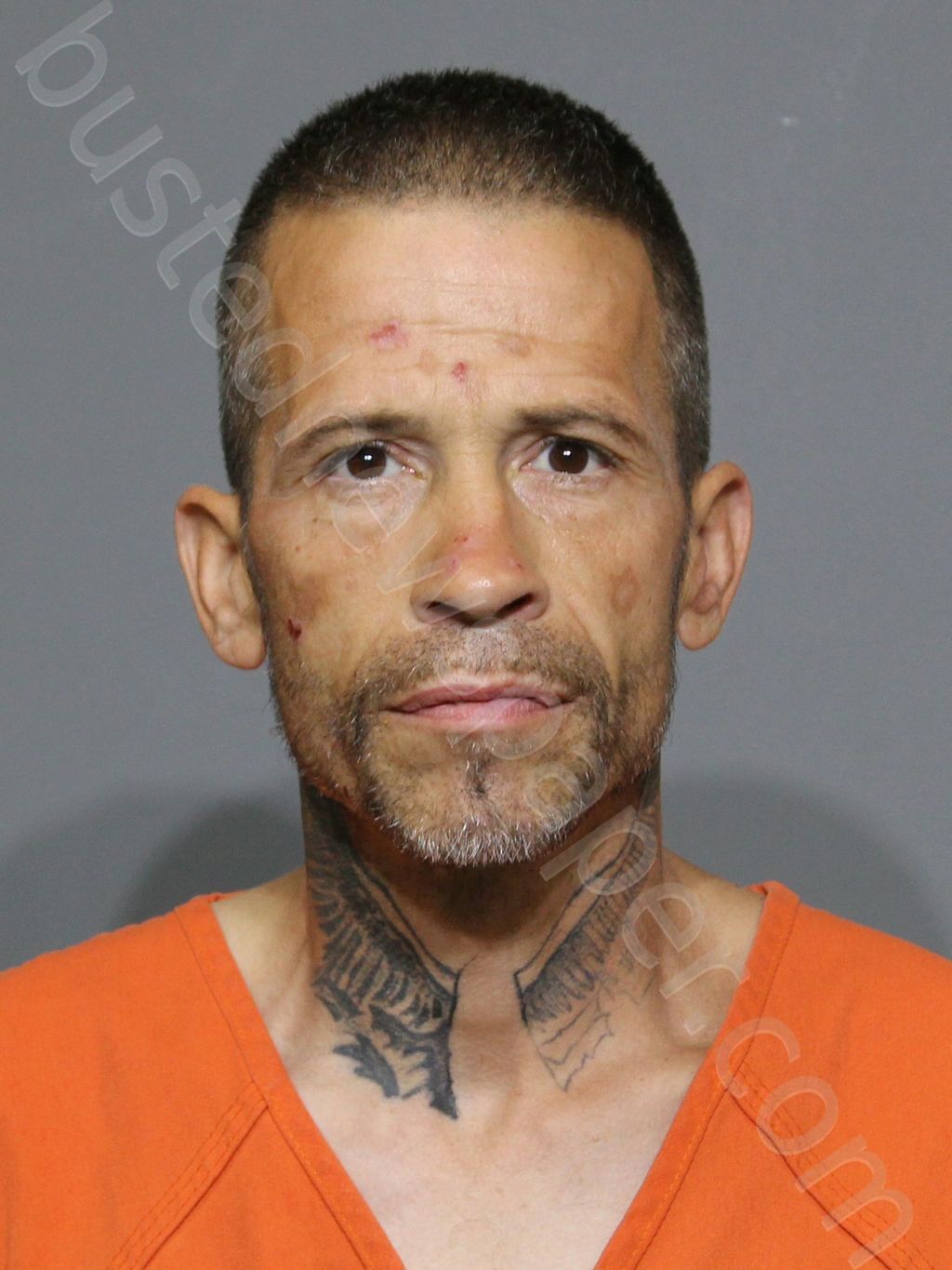 ALLMAN, RICHARD LEE #, York County, South Carolina - 2025-10-18 06:54:20