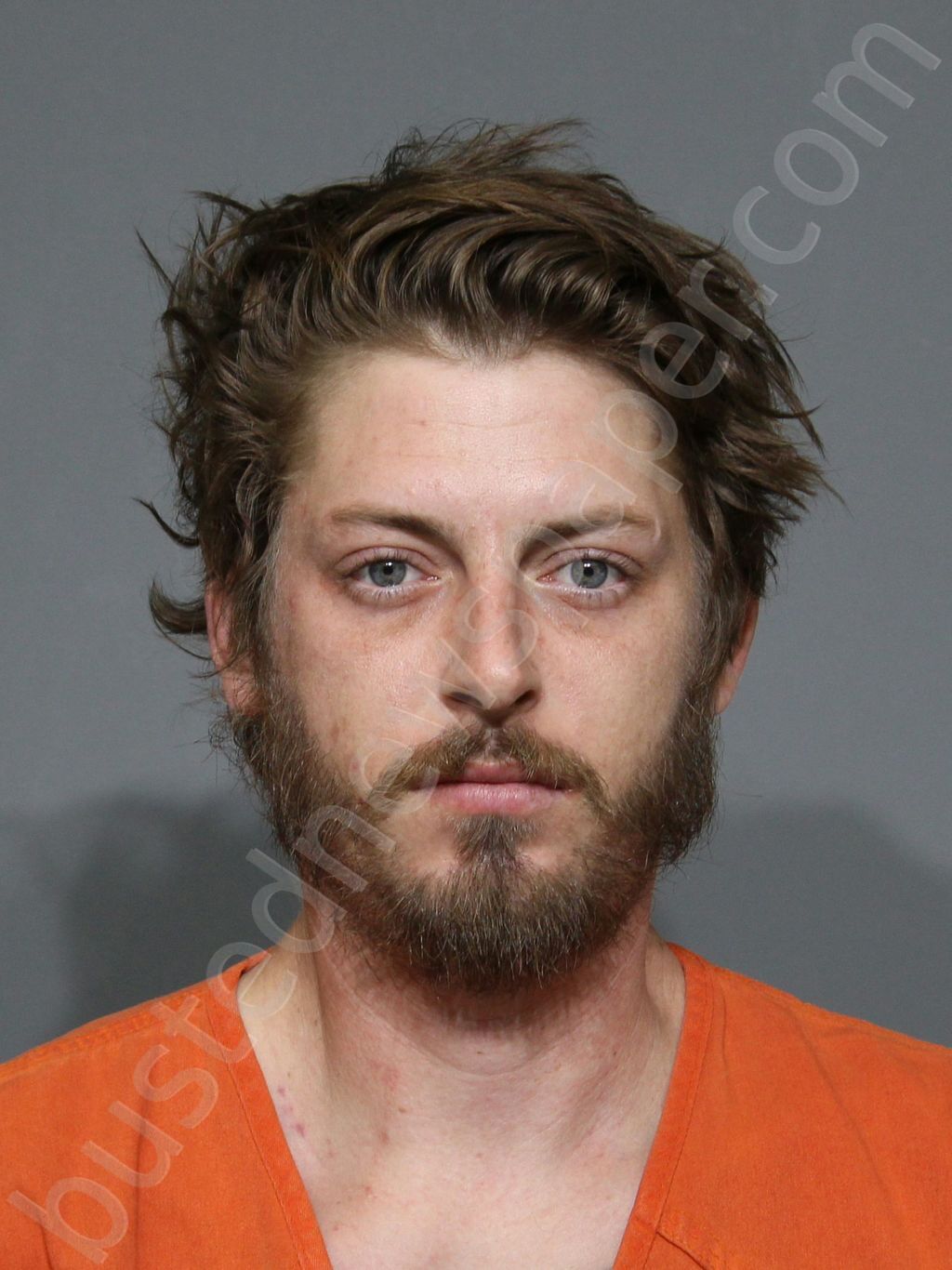 JOHNSON, LARRY ANTHONY #, York County, South Carolina - 2025-10-18 22:28:51