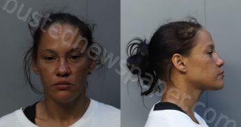 PIEDRA, ZENAIDA | 2025-10-19 16:17:00 Miami-Dade County, Florida Booking