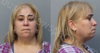 PEREZ, YADMARA | 2025-10-19 16:59:00 Miami-Dade County, Florida Booking