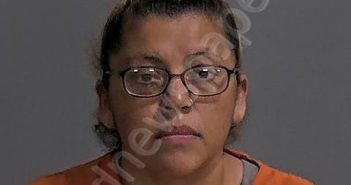 DIAZ, CLAUDIA | 2025-10-20 Sandusky County, Ohio Booking