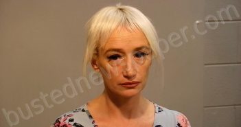 HILL, TARA CHANTELLE | 2025-10-21 10:25:00 Marquette County, Michigan Booking