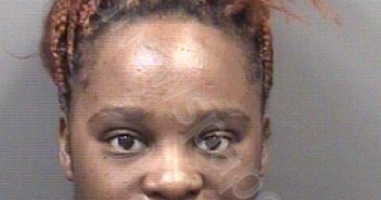 HOLDER, DEBRASHA ZHANE` | 2025-10-22 Rowan County, North Carolina Booking