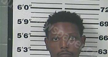 HINTON, DEMARIAN JAMES | 2025-10-22 13:06:00 Perry County, Mississippi Booking