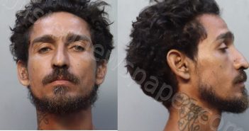 REYES, JULIO CESAR | 2025-10-22 12:15:00 Miami-Dade County, Florida Booking