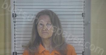 SEITZ, TELINA F. | 2025-10-25 14:40:00 Taylor County, Kentucky Booking