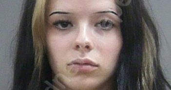 BERRY, KELSEE YSABEL | 2025-10-25 04:54:18 Lagrange County, Indiana Booking