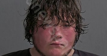 PLUMLEY, LANDON V | 2025-10-25 Sandusky County, Ohio Booking