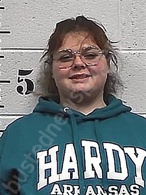 DAWSON, RAINEY LYNN #, Sharp County, Arkansas - 2025-10-26 14:12:00
