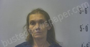 WATSON, YVONNE COLLEEN | 2025-10-27 12:16:00 Pulaski County, Indiana Booking